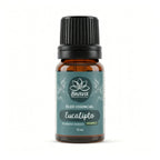 Óleo Essencial de Eucalipto Orgânico 10ml - 100% Puro