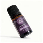 Óleo Essencial de Lavanda Francesa 10ml - 100% Puro