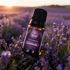Óleo Essencial de Lavanda Francesa 10ml - 100% Puro