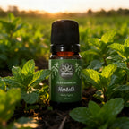 Óleo Essencial de Hortelã Pimenta (Peppermint) 10ml - 100% Puro