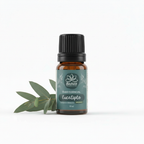 Óleo Essencial de Eucalipto Orgânico 10ml - 100% Puro