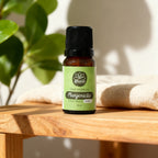Óleo Essencial de Manjericão Orgânico 10ml - 100% Puro
