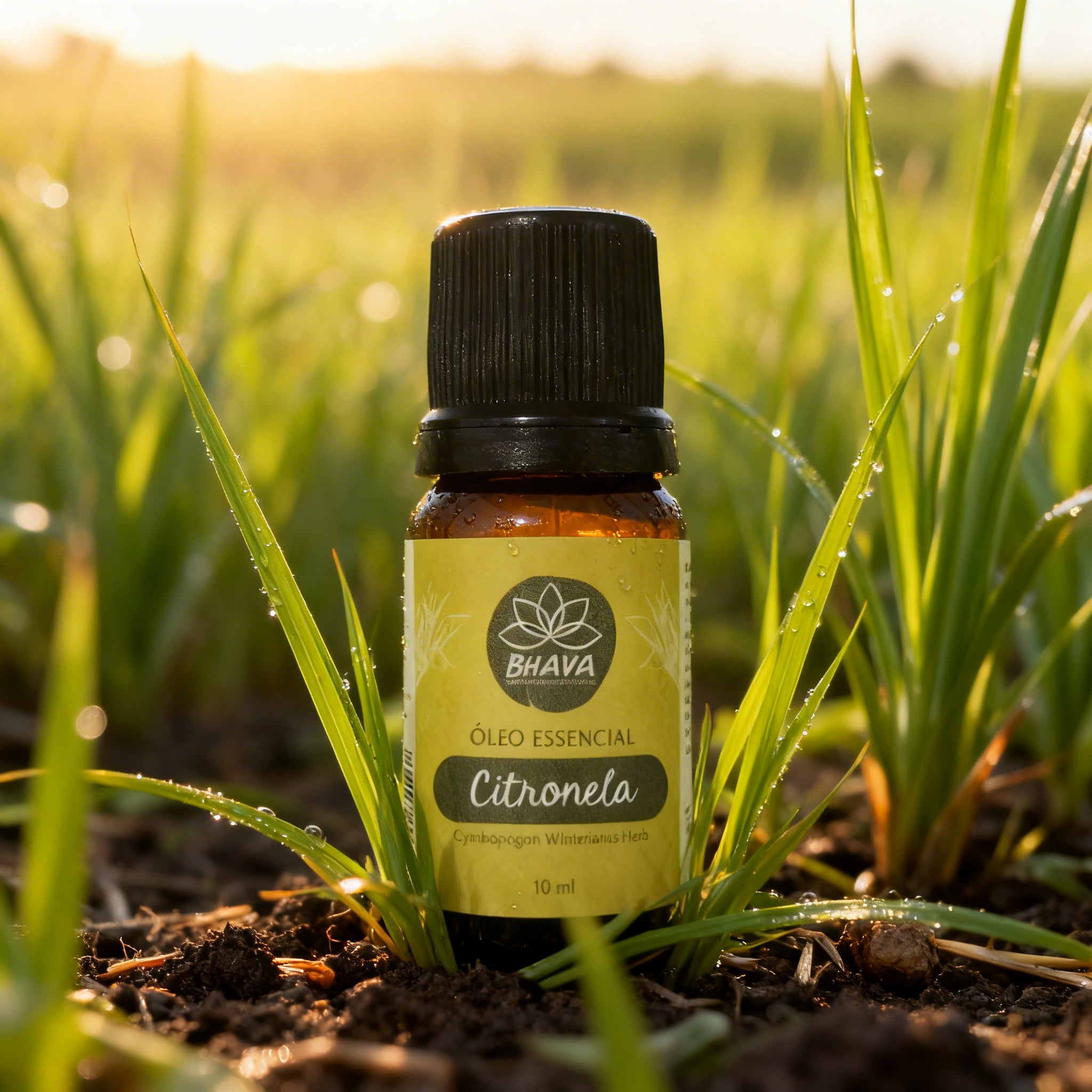 Óleo Essencial de Citronela 10ml - 100% Puro