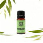 Óleo Essencial de Tea Tree (Melaleuca) 10ml - 100% Puro