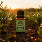 Óleo Essencial de Tea Tree (Melaleuca) 10ml - 100% Puro