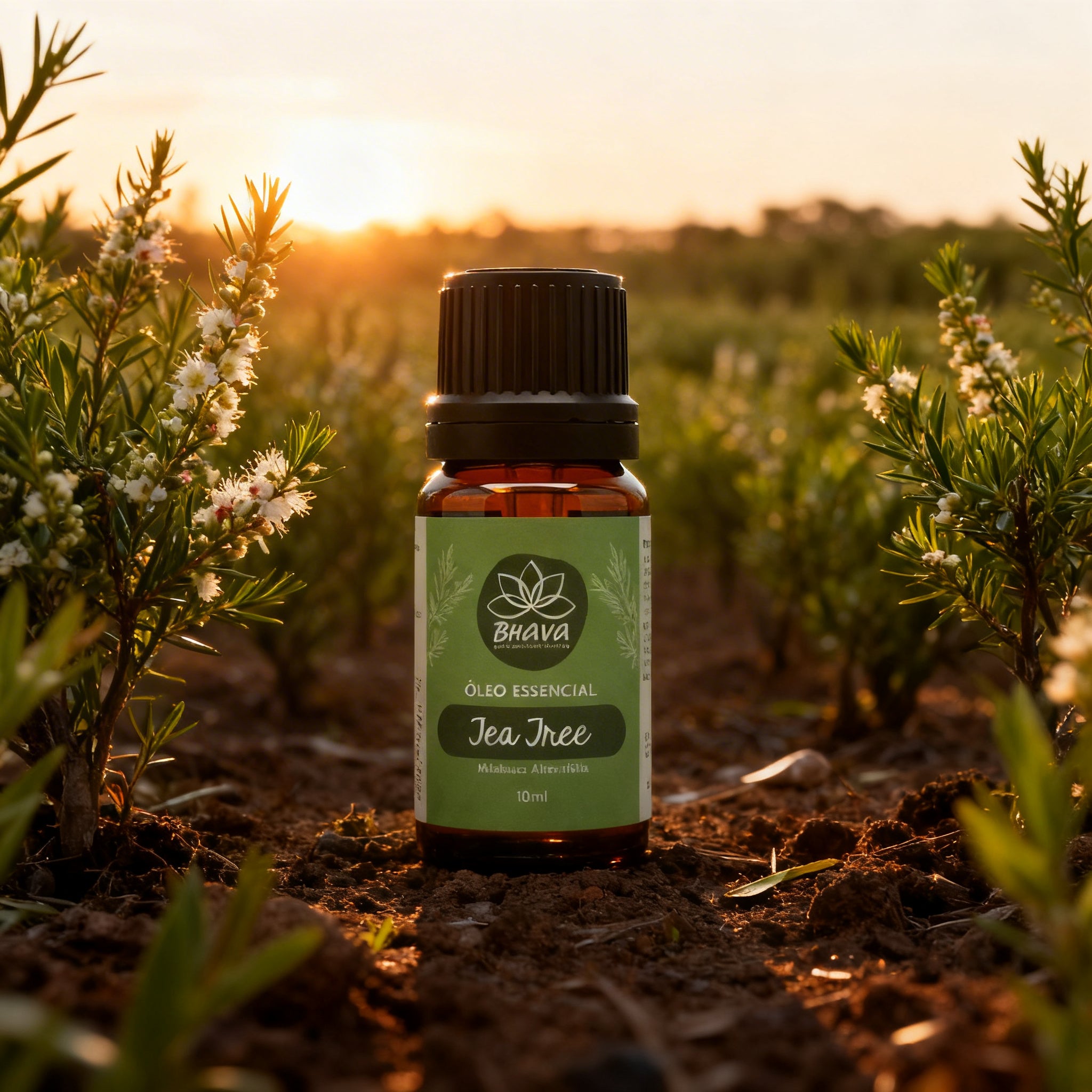 Óleo Essencial de Tea Tree (Melaleuca) 10ml - 100% Puro