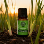 Óleo Essencial de Lemongrass 10ml - 100% Puro
