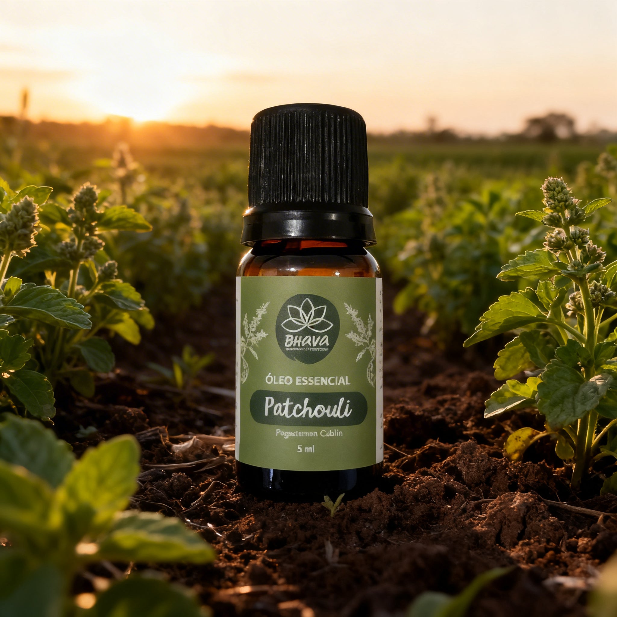 Óleo Essencial de Patchouli 5ml 100% Puro