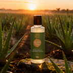 Gel Aloe Vera 120ml - 100% Natural