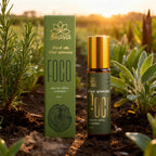 Roll-on blend aromático - Foco 10ml 100% natural